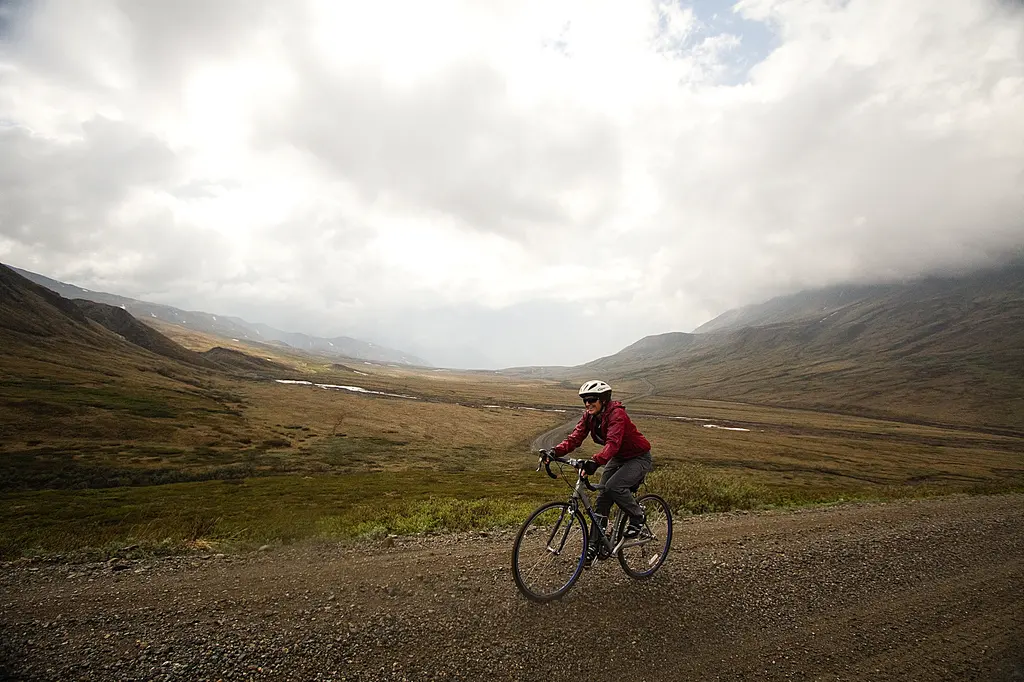 Denali Park Road