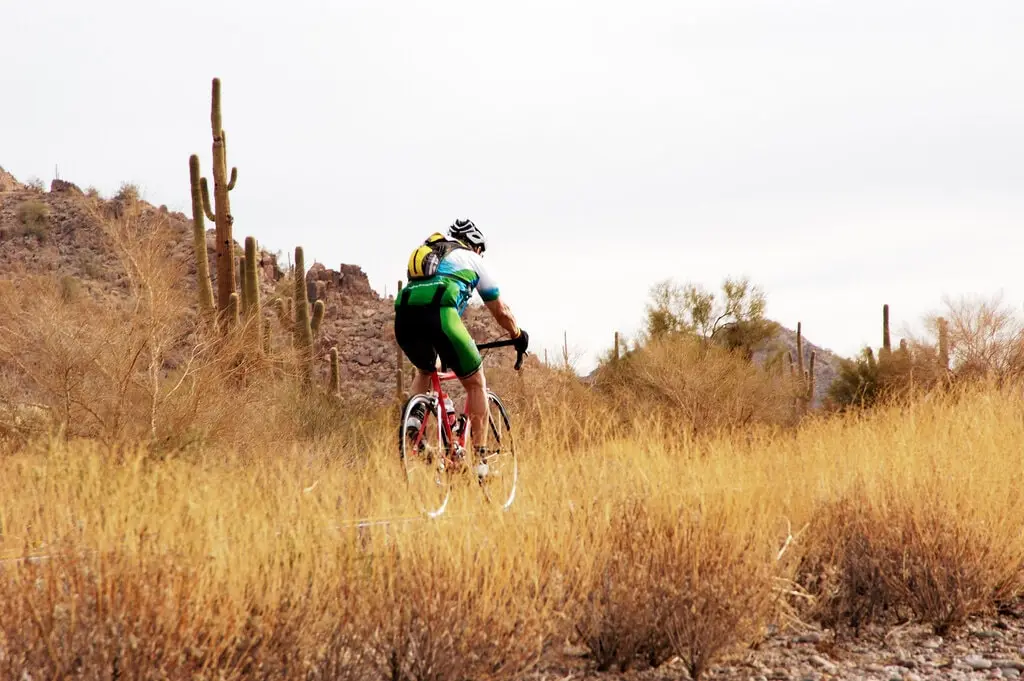 Arizona serves up a rare blend of high desert vistas