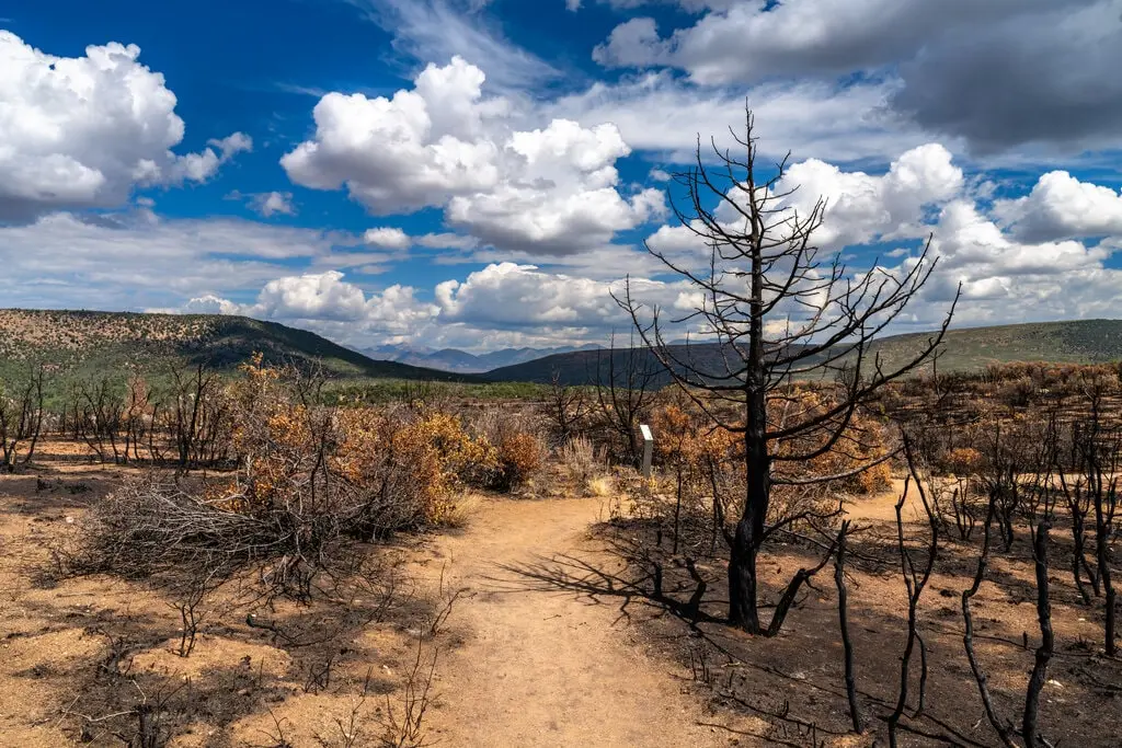 Black Canyon Trail (IMBA Epic)