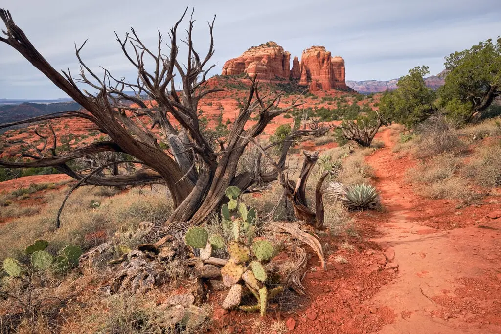 Sedona: Hiline Loop