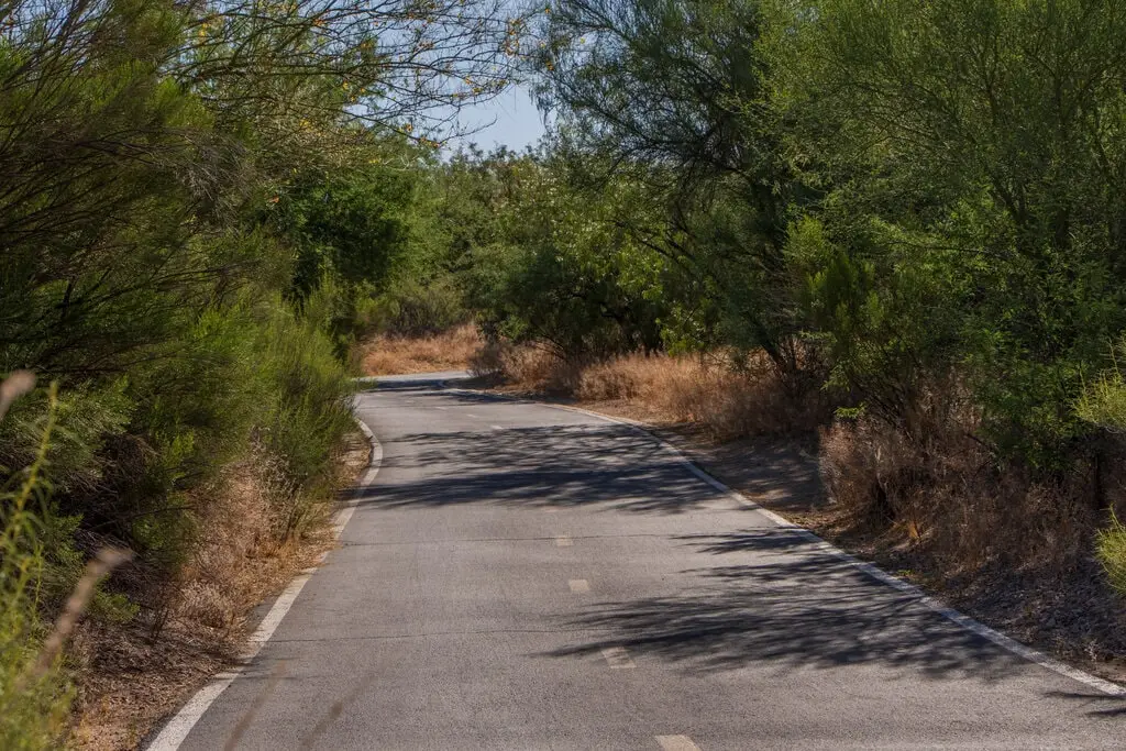 The Chuck Huckelberry Loop