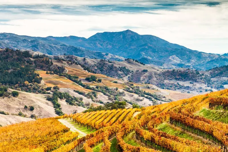 Alexander Valley Loop
