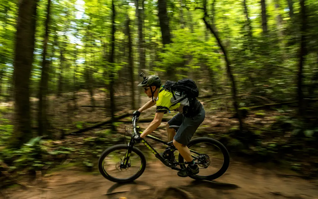 Case Mountain Trail System