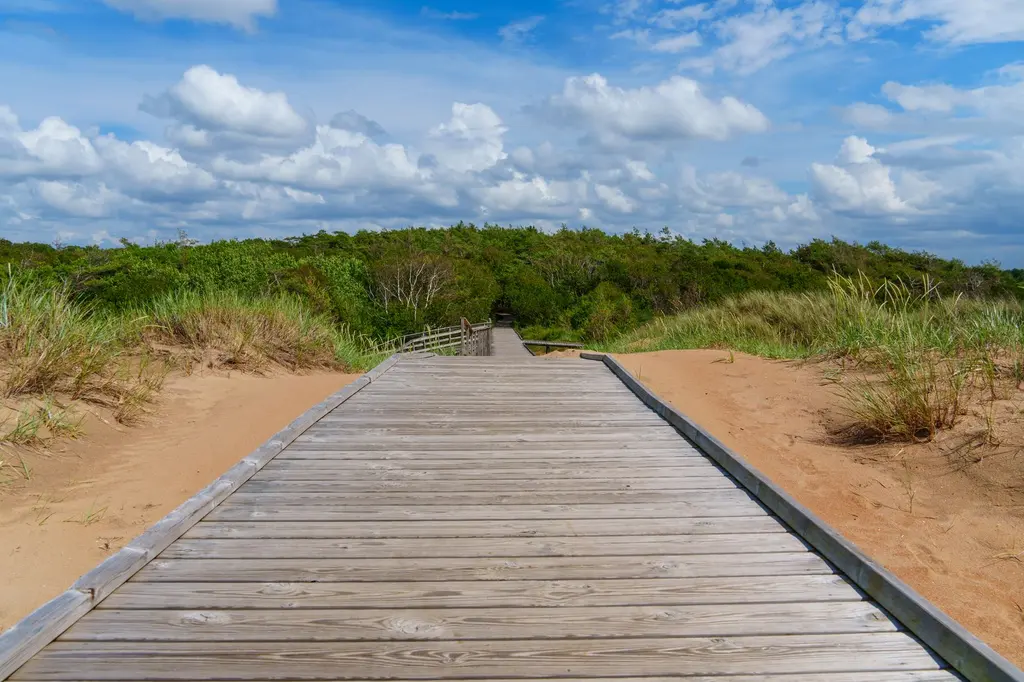 Gordons Pond Trail (Cape Henlopen State Park) Gordons Pond Trail (Cape Henlopen State Park)