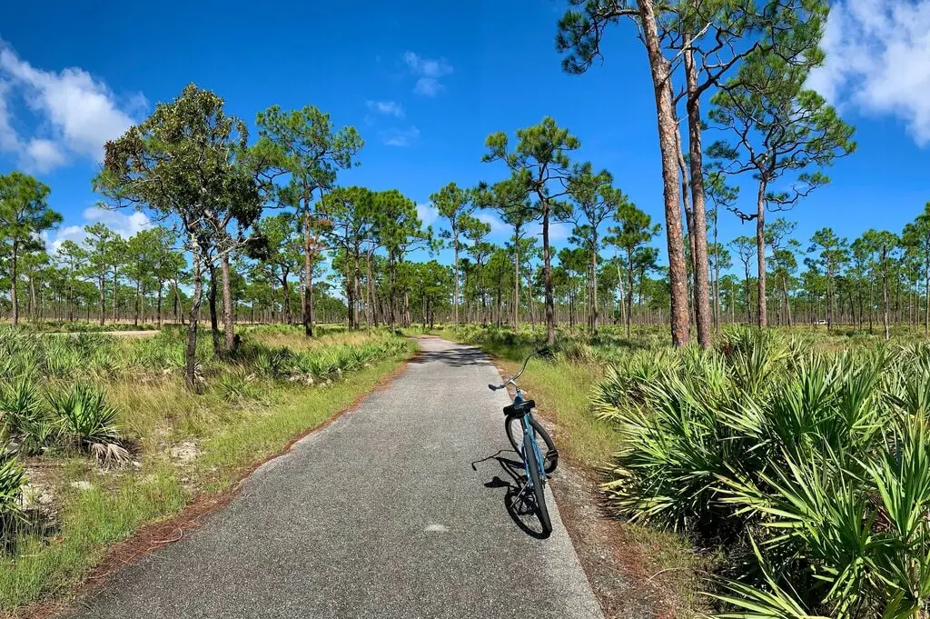 Withlacoochee State Trail Withlacoochee State Trail