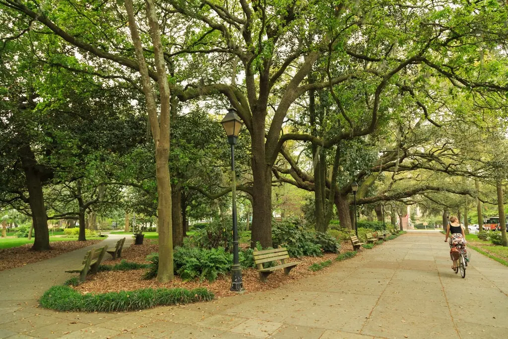Bicycle rider in Forsyth Park, Savannah, Georgia