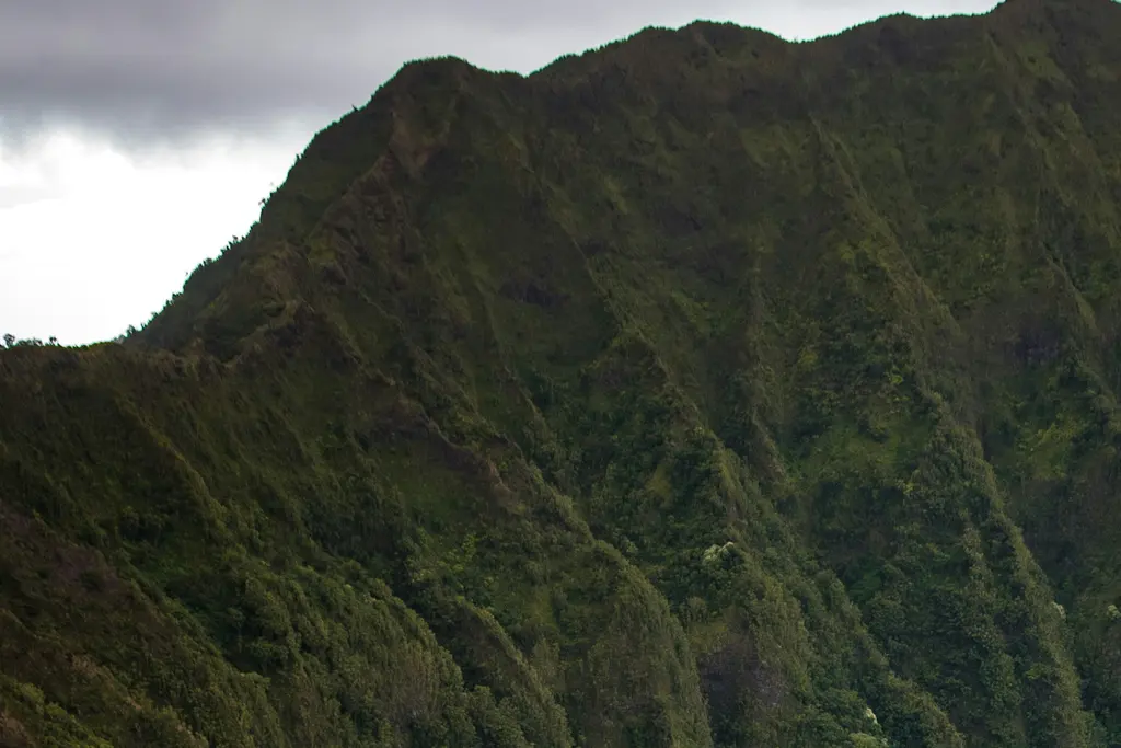 Maunawili Trail