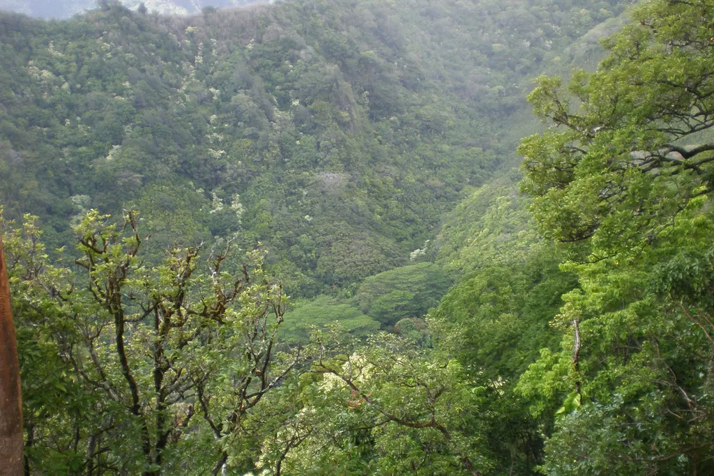 Tantalus-Round Top Drive Loop
