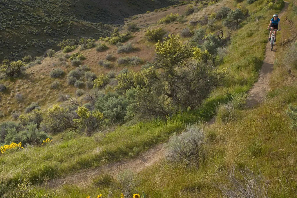 Hulls Gulch Loop, Ridge to Rivers