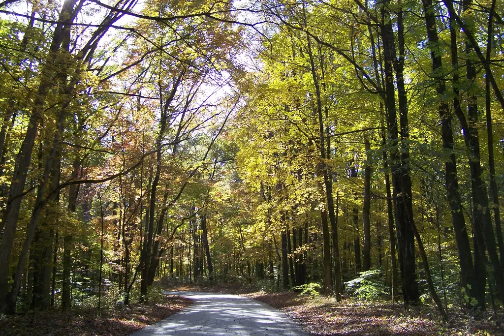 Nebo Ridge and the Hoosier National Forest Nebo Ridge and the Hoosier National Forest