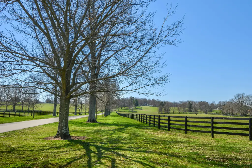 Tree-lined horse-farm lane with plank fencing near Lexington