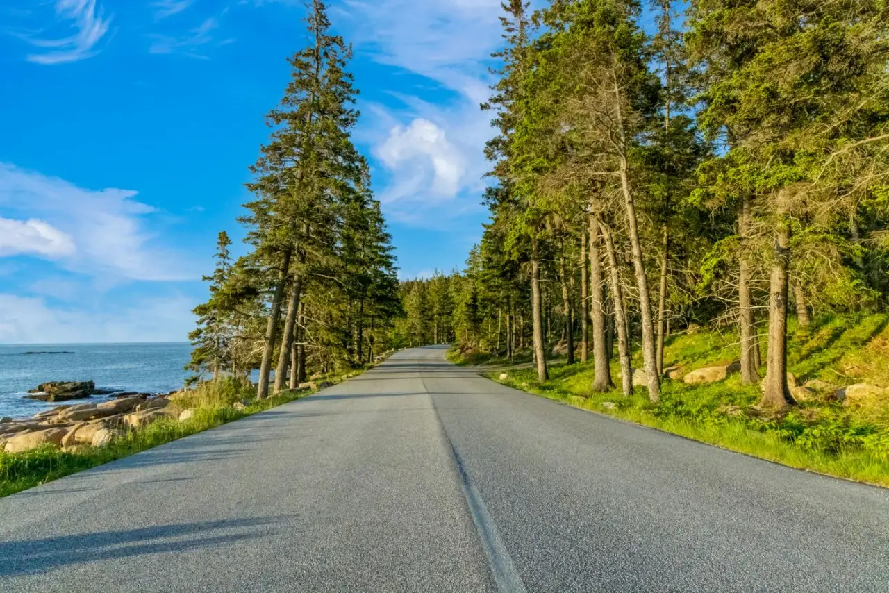 Crushed-stone carriage road through forest in Acadia National Park, Maine