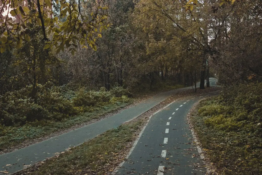 Ashuwillticook Rail Trail