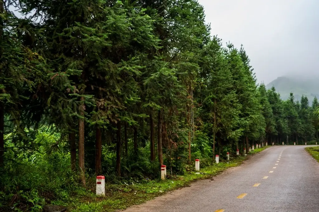 Mount Greylock Road Climb
