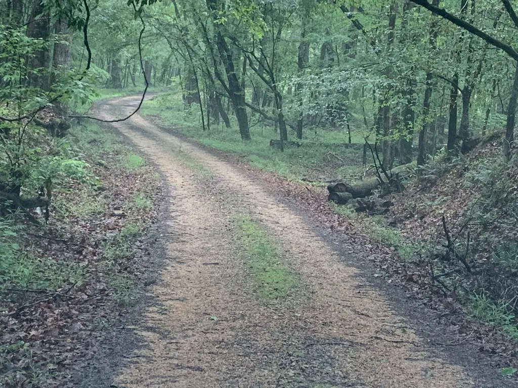 Clear Springs Trail
