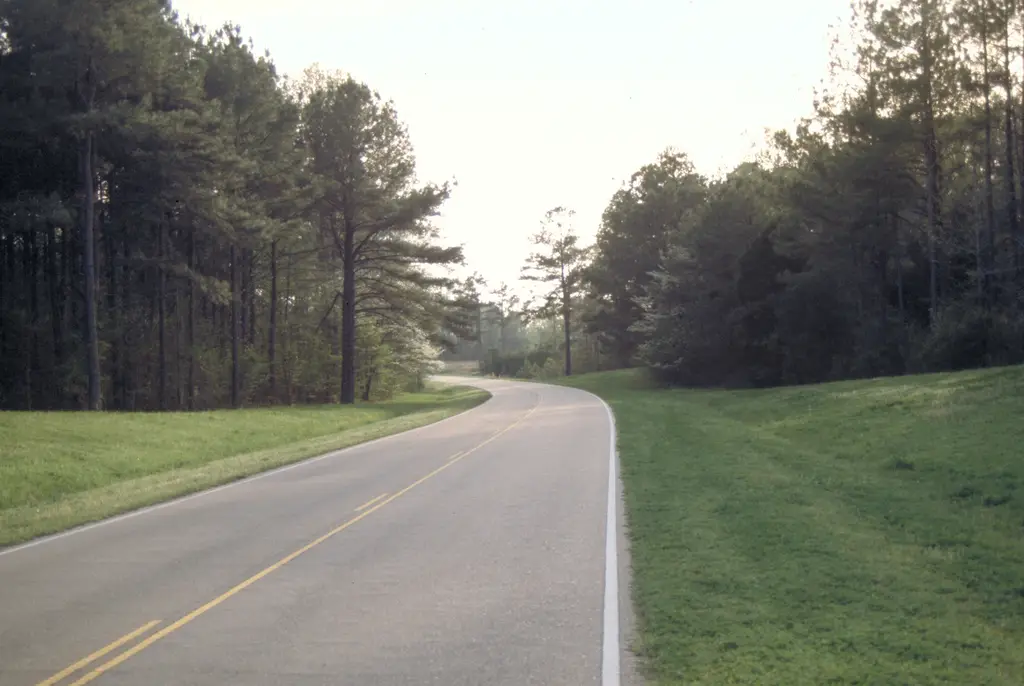 Natchez Trace Parkway road between Jackson and Natchez