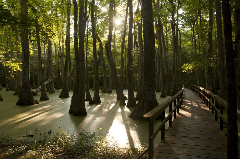 Natchez Trace Parkway