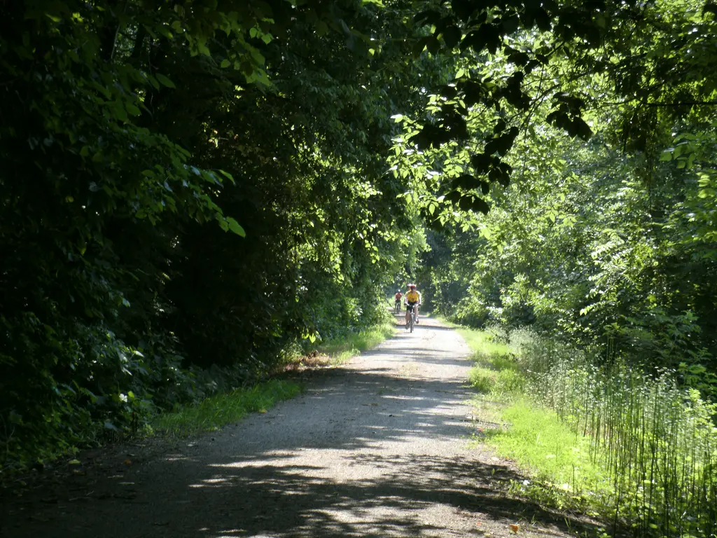 MKT Nature and Fitness Trail MKT Nature and Fitness Trail