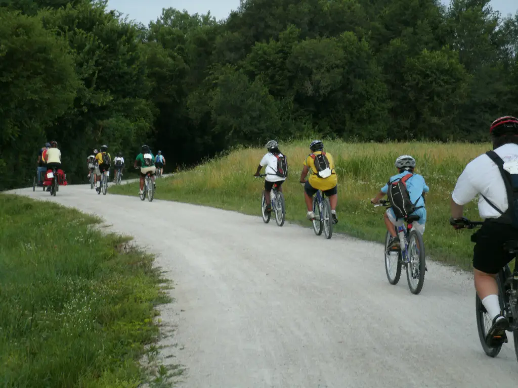 Pedaler's Jamboree Pedaler's Jamboree