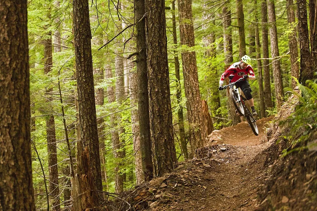 Whitefish Trail