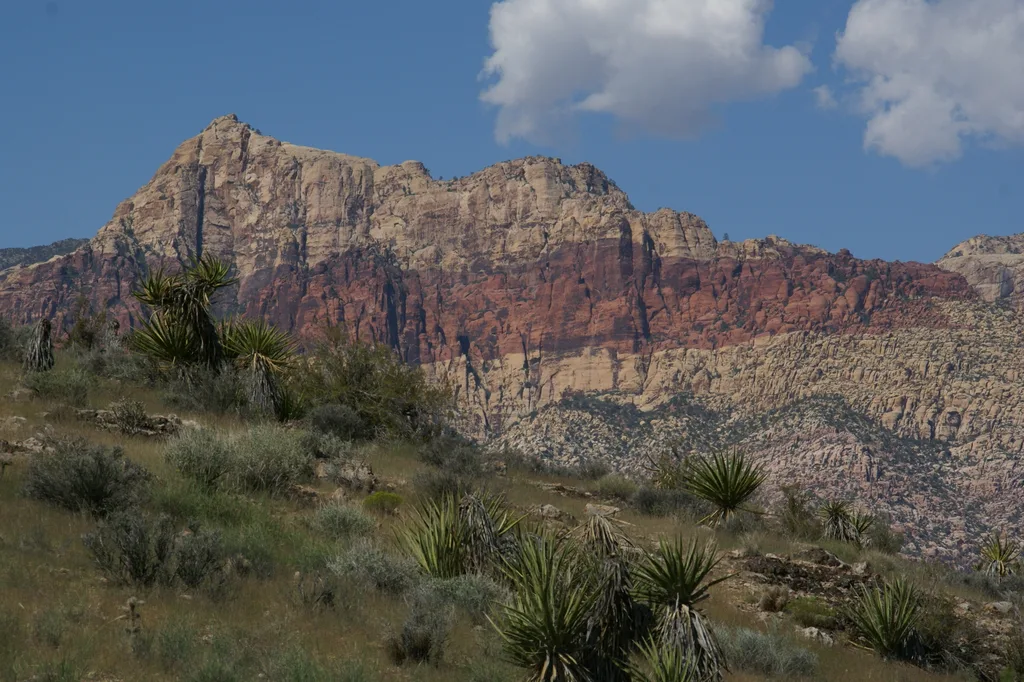 Red Rock Canyon Scenic Loop