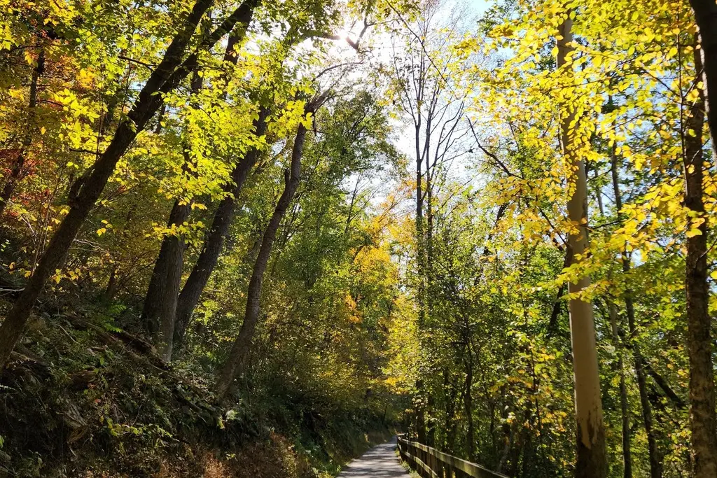 New Hampshire rail trail through foliage