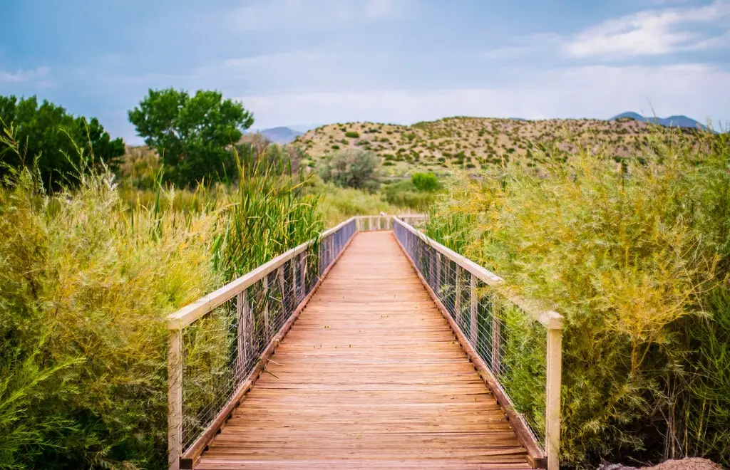Paseo del Bosque Trail Paseo del Bosque Trail