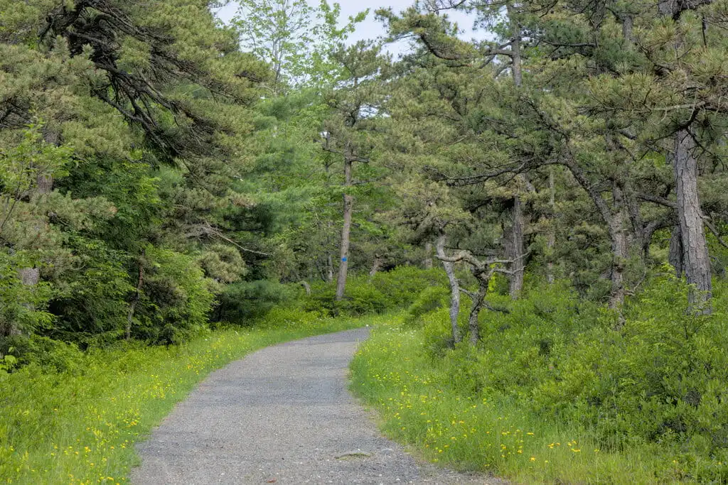 Minnewaska State Park and the Gunks Minnewaska State Park and the Gunks