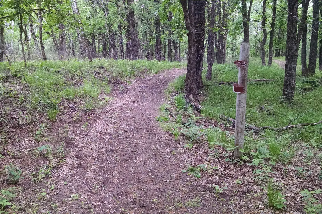Harmon Lake Recreation Area