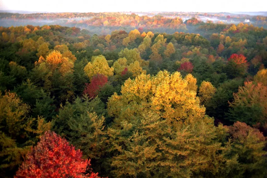 Hocking Hills Scenic Byway