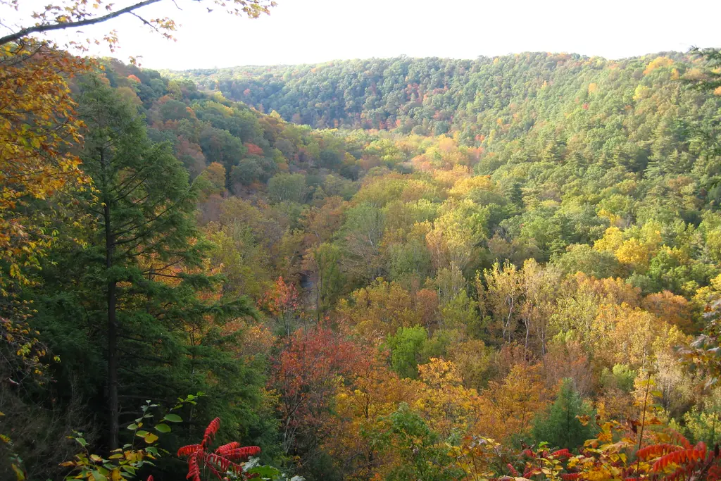 Mohican Mountain Bike Trail