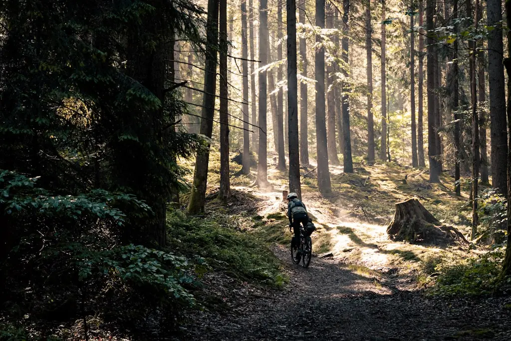 Clear Bay Trails at Lake Thunderbird State Park
