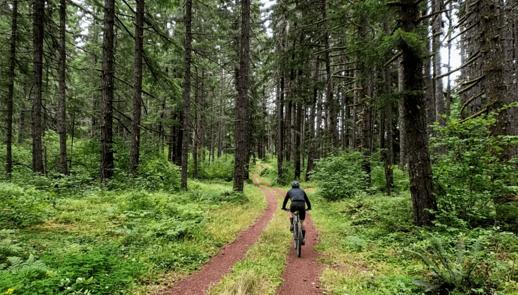Corvallis to the Sea Trail Corvallis to the Sea Trail