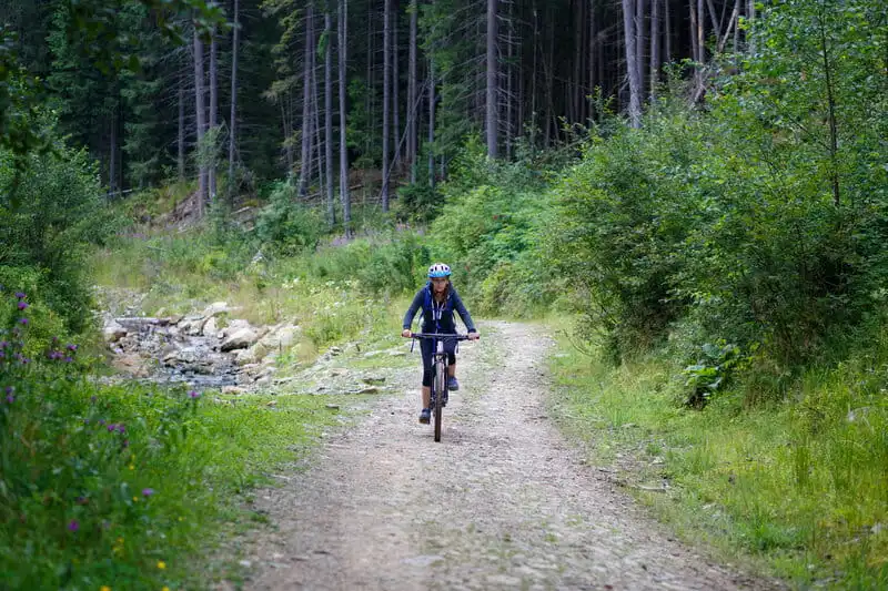 Oregon Timber Trail Oregon Timber Trail