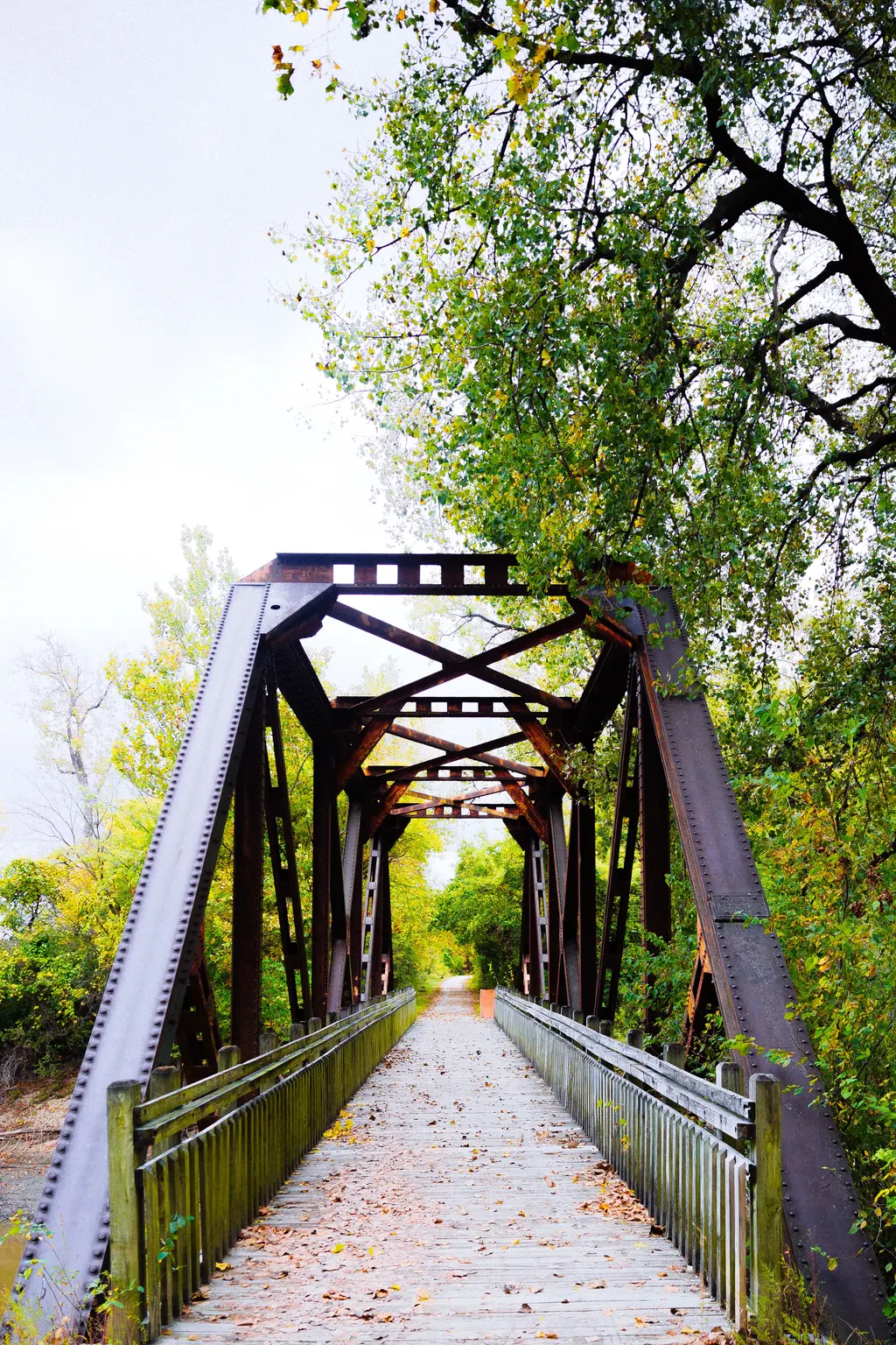 Palmetto Trail: Peak-to-Prosperity Passage Palmetto Trail: Peak-to-Prosperity Passage