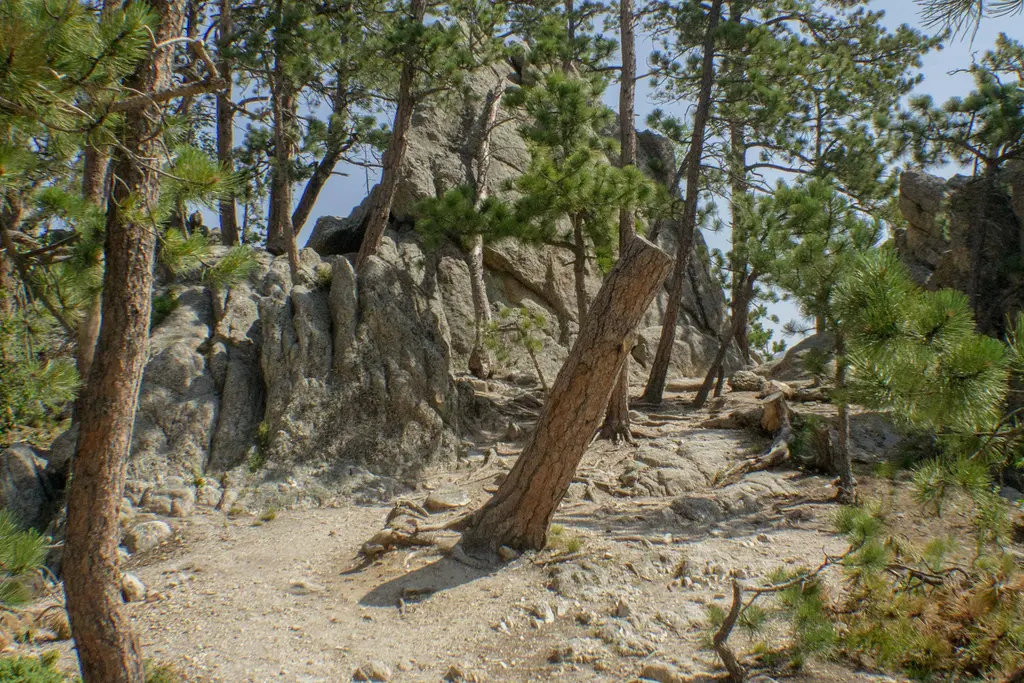 George S. Mickelson Trail George S. Mickelson Trail