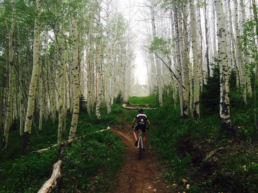 Park City and Mid Mountain