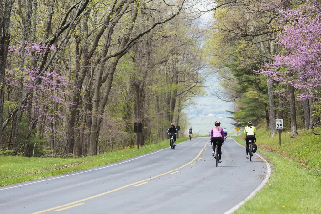 Skyline Drive