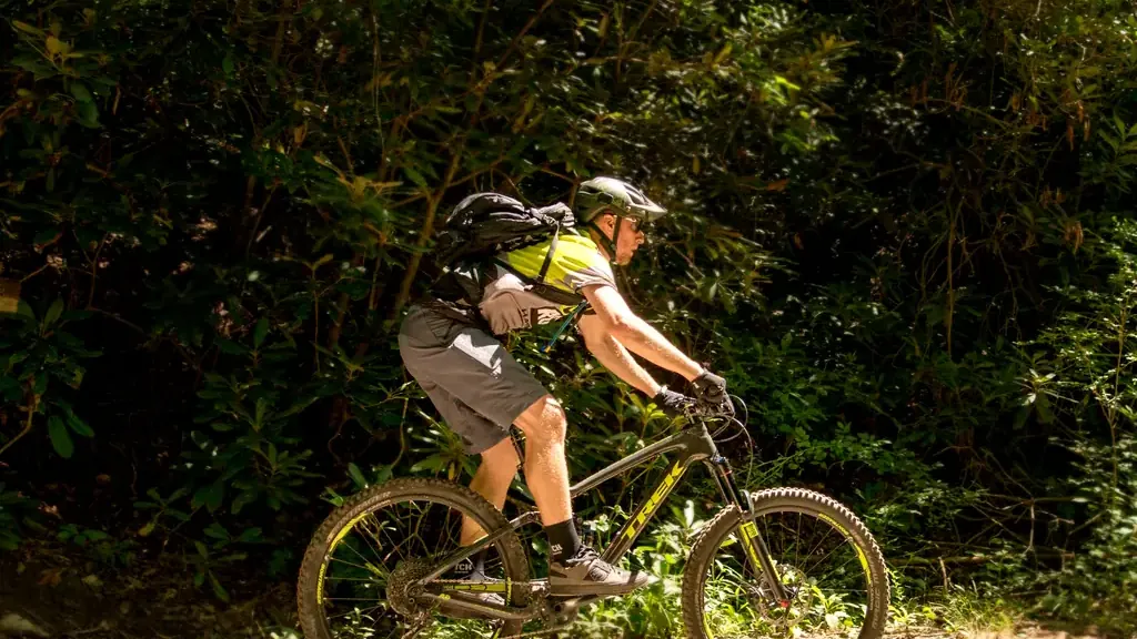 Shenandoah Mountain 100 Shenandoah Mountain 100