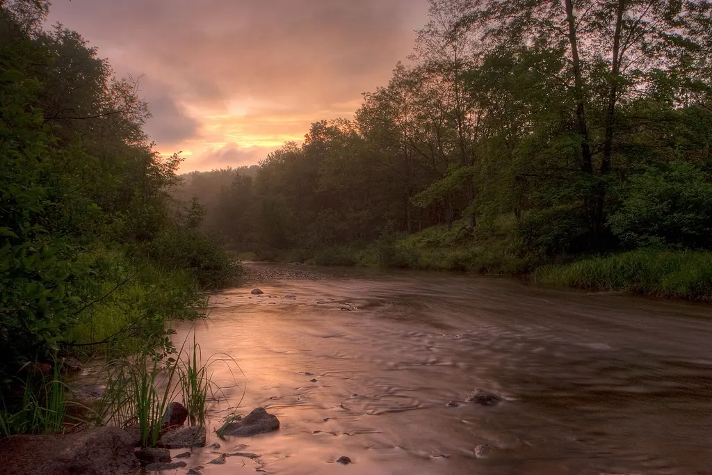 Canaan Valley and the Davis Trails