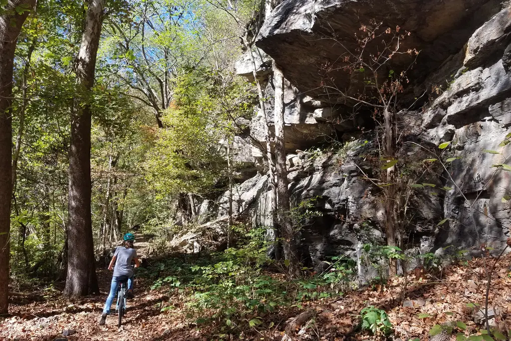 Cyclist riding the Southside Trail beneath sandstone cliffs in the New River Gorge