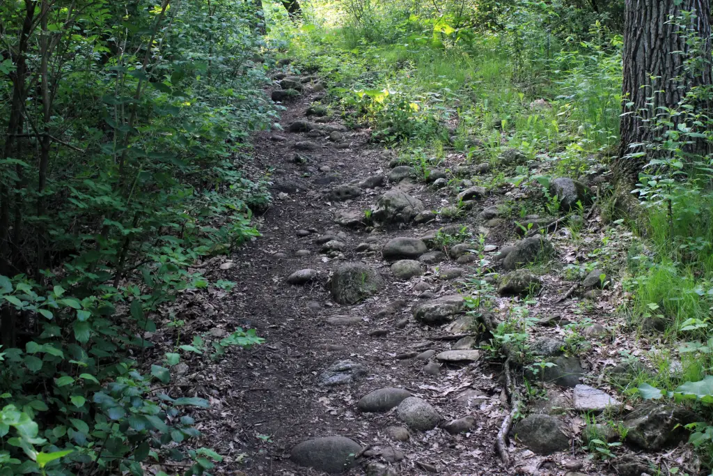 John Muir and Emma Carlin Trails John Muir and Emma Carlin Trails