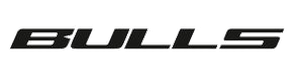 Bulls logo